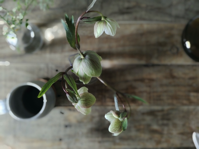 木のテーブルに飾られた淡い緑色の花