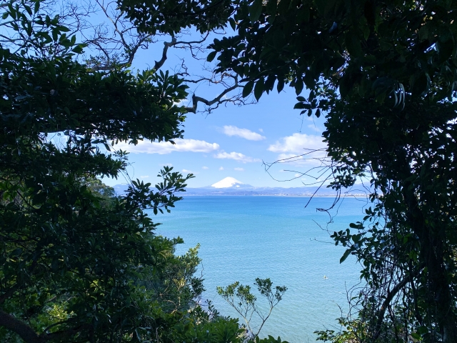 木々の間から青い海と遠くの山を望む自然豊かな風景